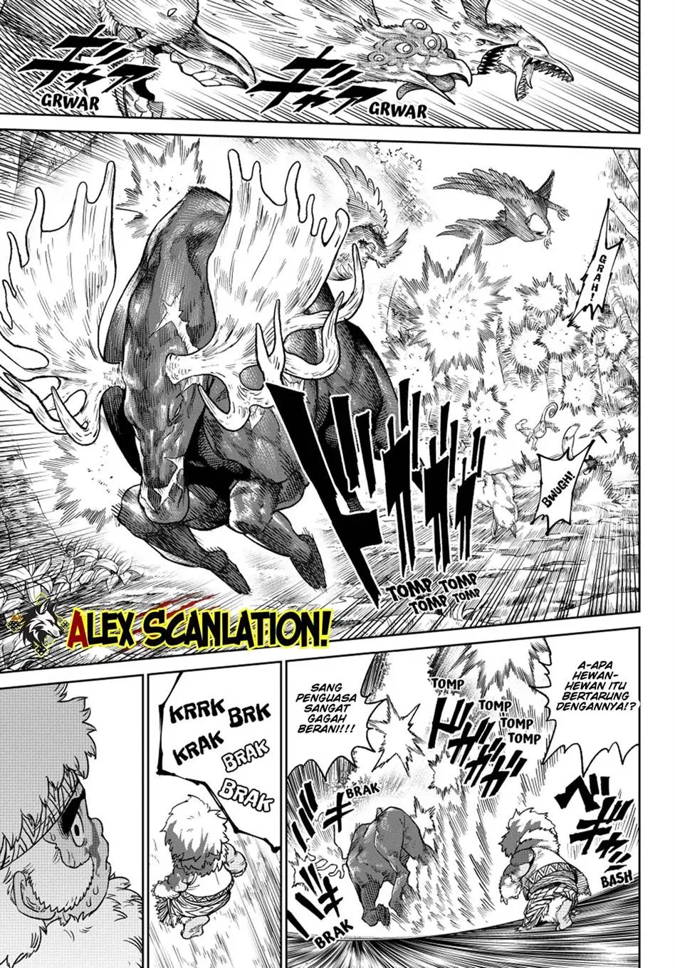 Halaman 17