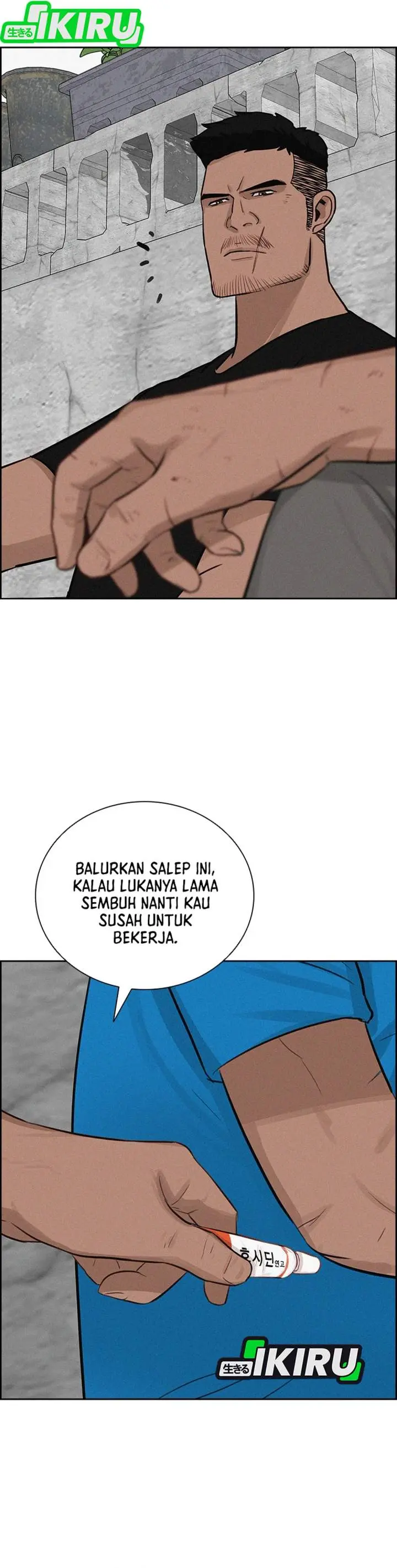 Halaman 17