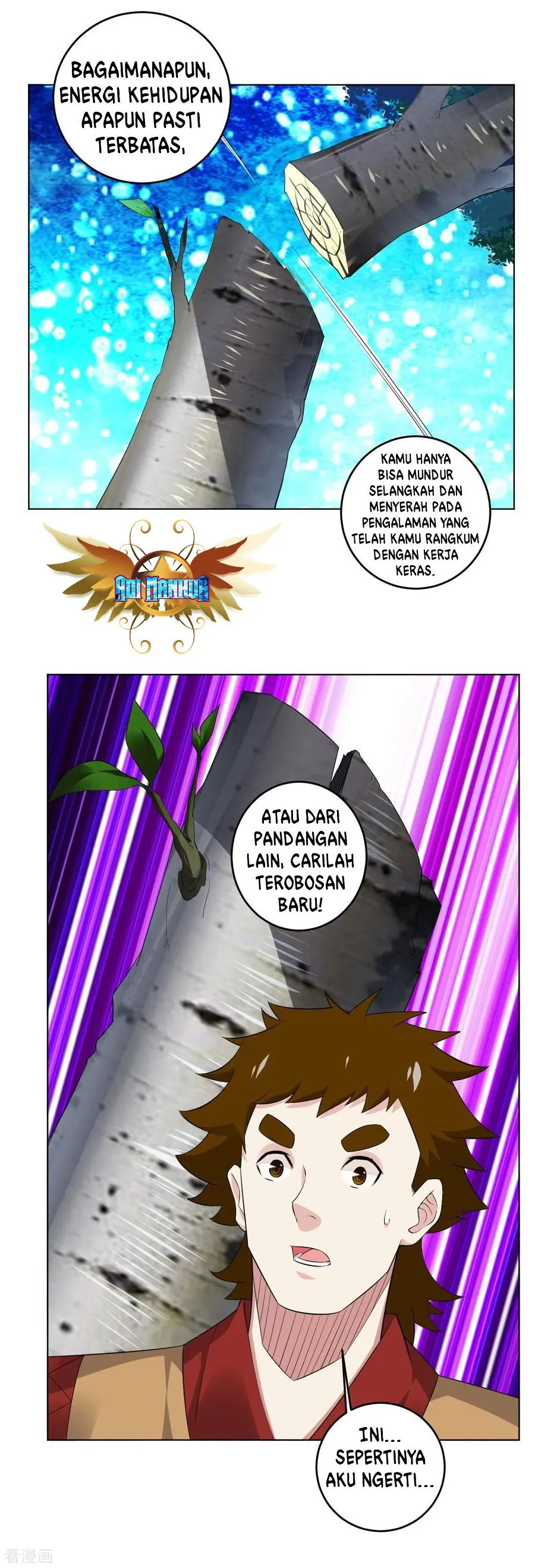 Halaman 17